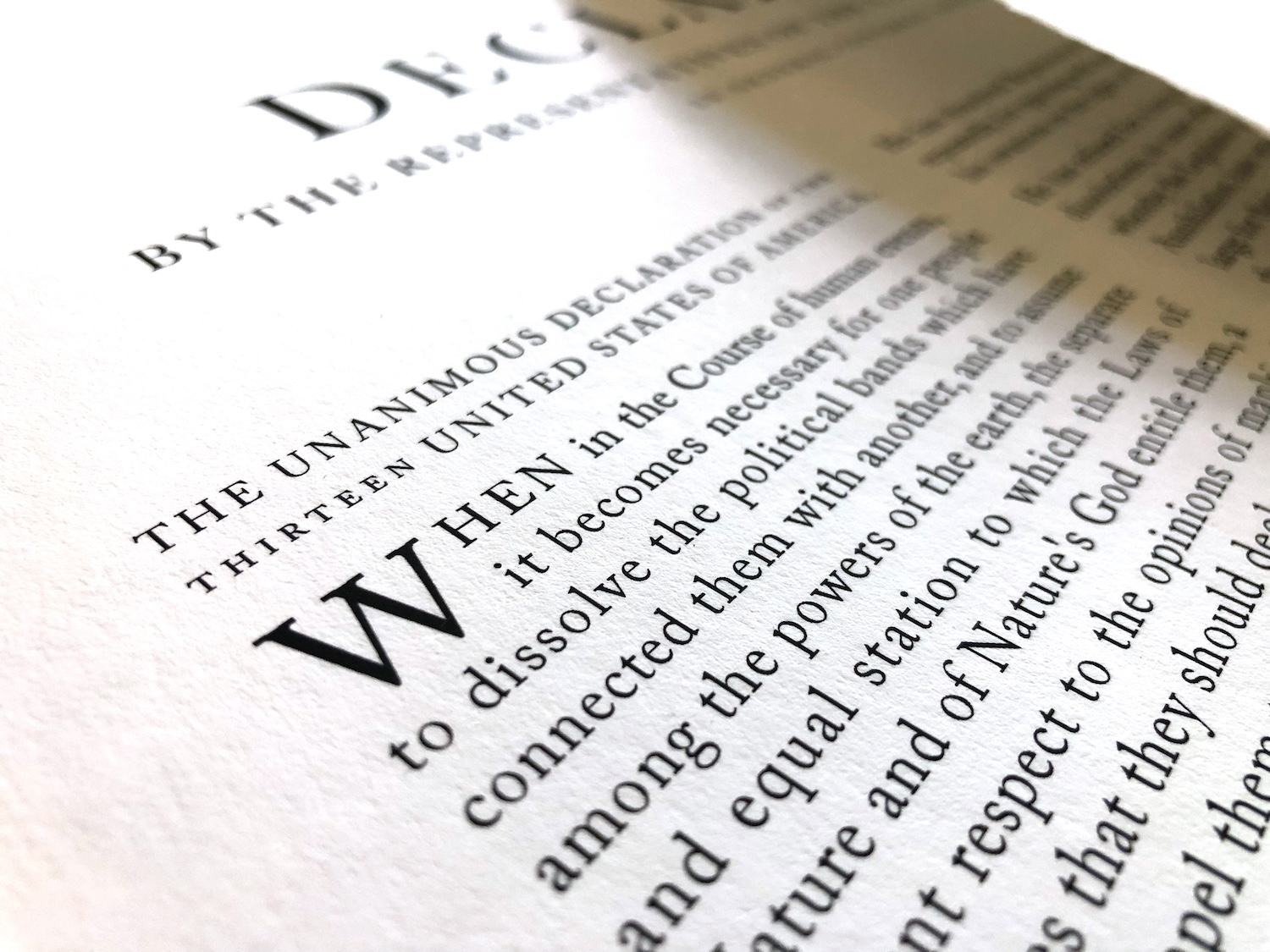 Detail of Rothridge Declaration Print